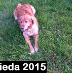 Frieda 2015